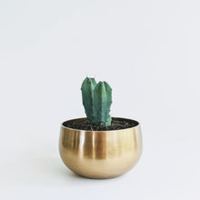 Load image into Gallery viewer, Brass Votive Bowl