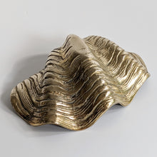 Load image into Gallery viewer, Brass Clam Shell