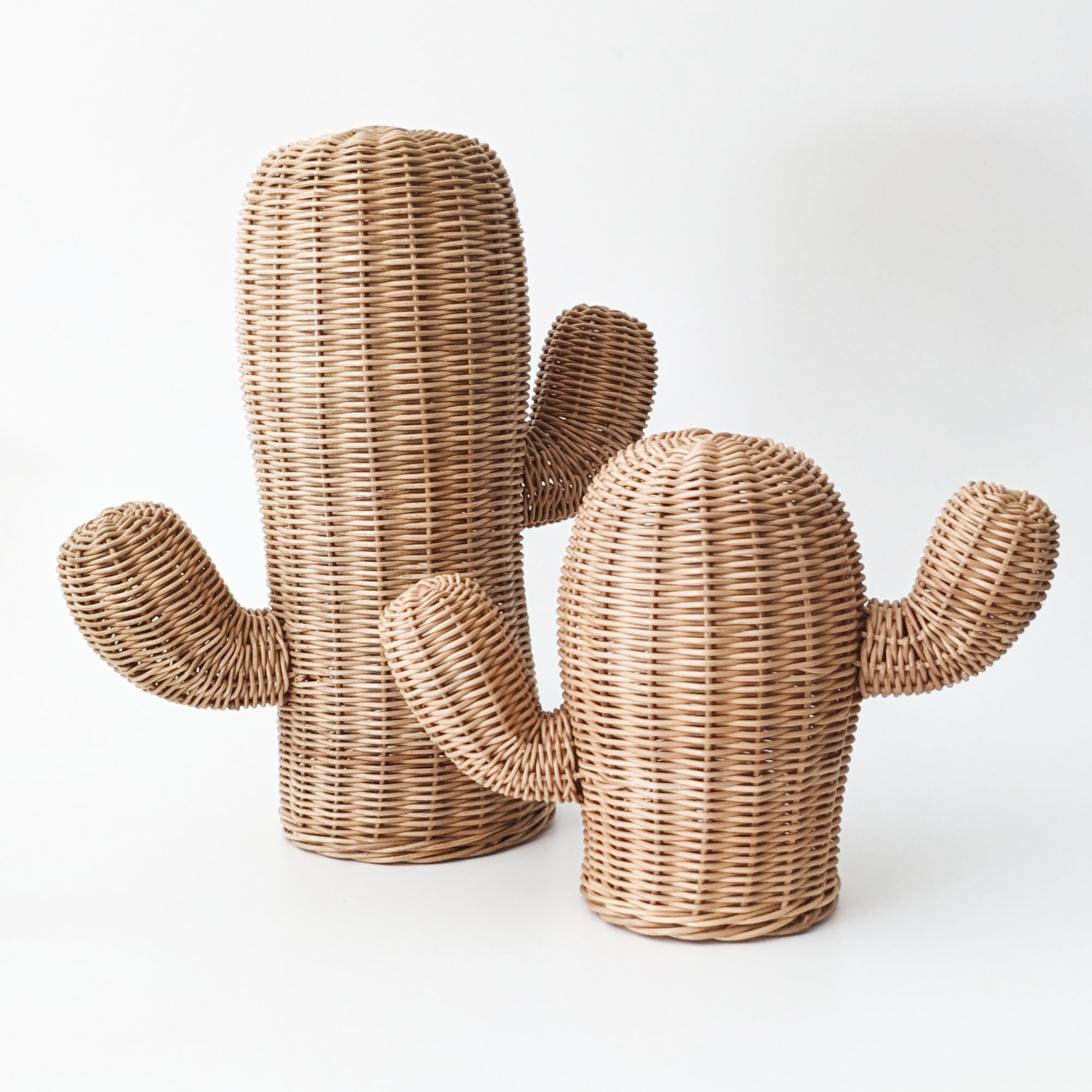Rattan Cactus Decor