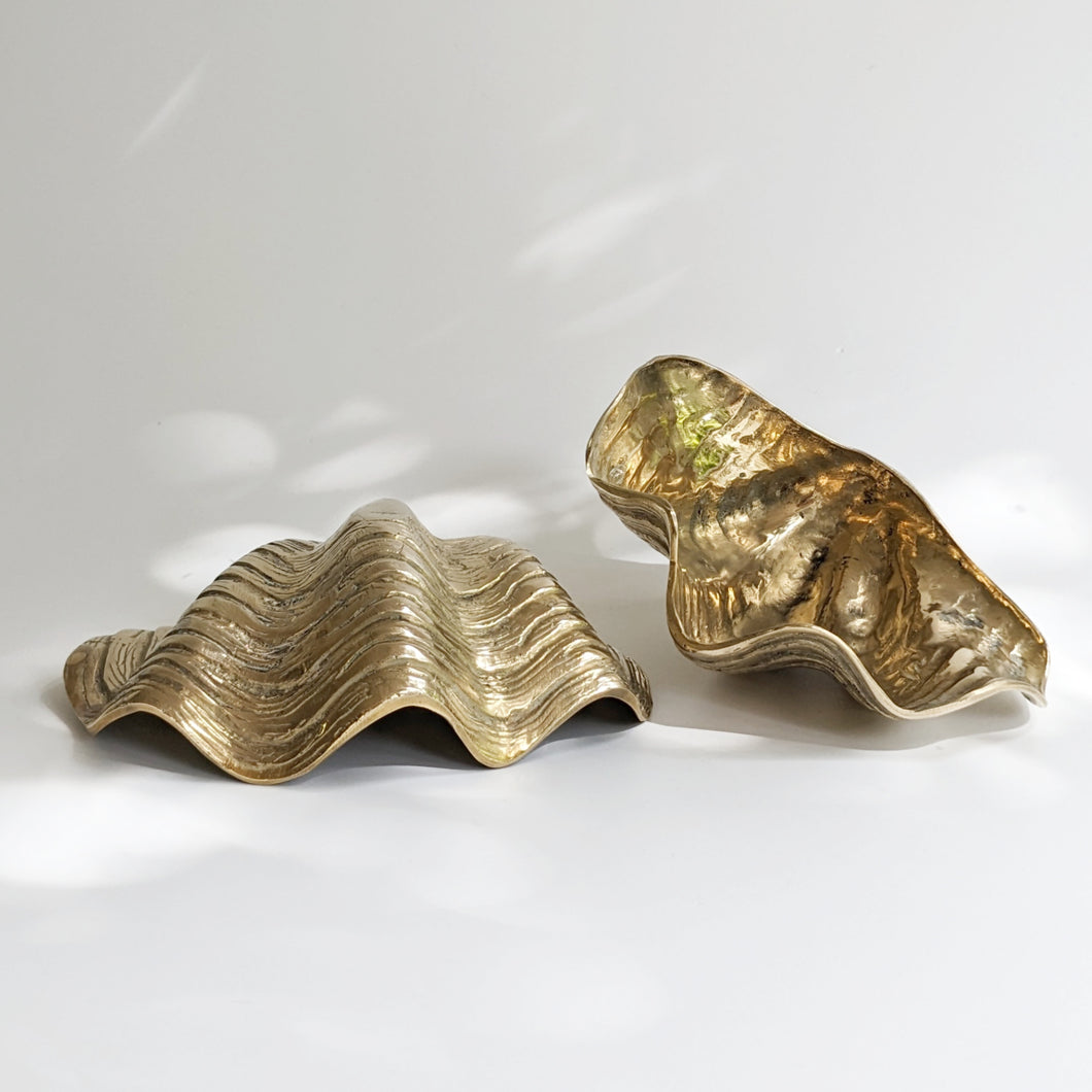 Brass Clam Shell