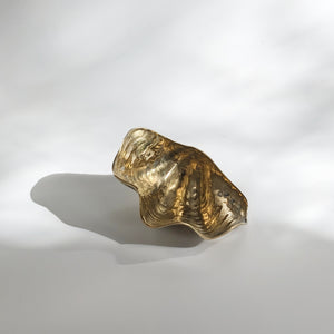 Brass Clam Shell